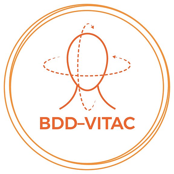 BDD-VITAC Logo