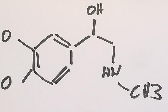 Das Hormon der Nebenniere: Adrenalin (Bild: UWH)