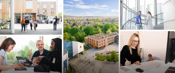 Bildcollage zum Thema Karriere an der UW/H