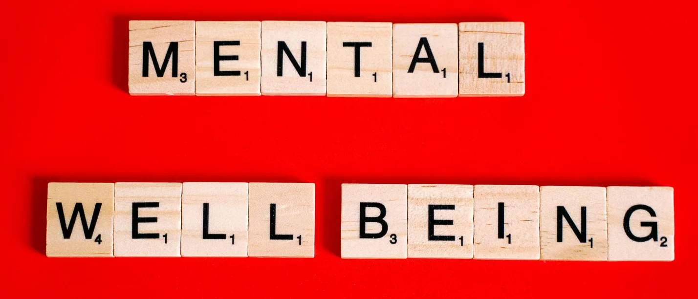 5. MBRMC Gastvortrag (Foto: pexels | Anna Tarazevich) Symbolbild für mentale Gesundheit