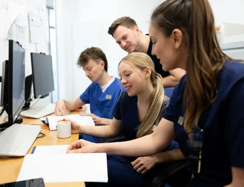 Dental students work on the computer