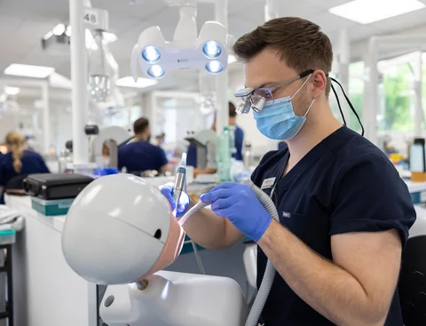 Ein Zahnmedizinstudent bei der Arbeit an einem Modell