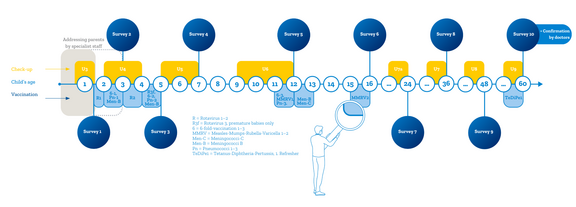 Study programme INITIAL (Graphic: UW/H) Study programme INITIAL (Graphic: UW/H)