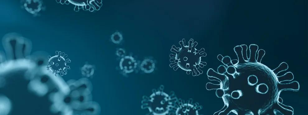 You can see an image of viruses under a microscope