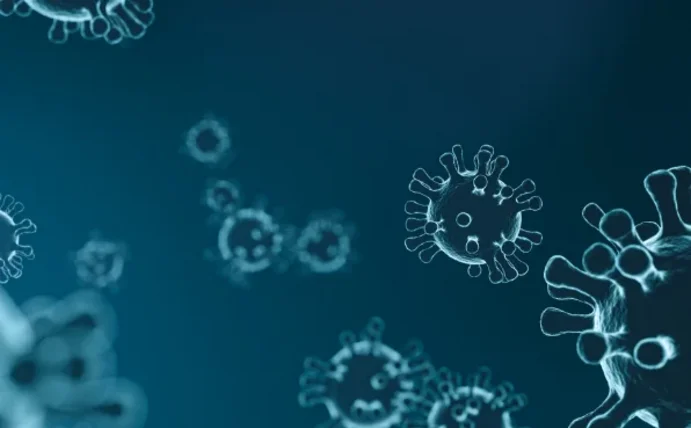 Hope for new treatments: DFG project aims to decode dangerous cold viruses (Photo: Canva) You can see an image of viruses under a microscope