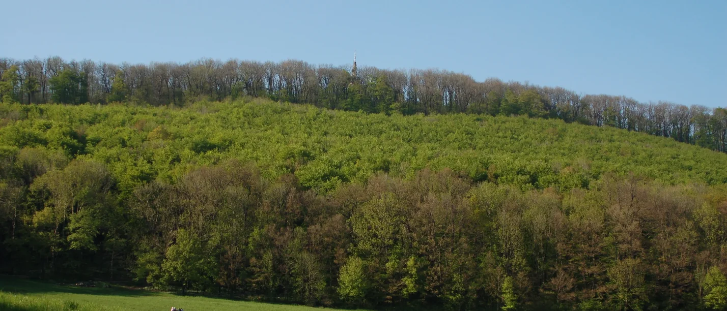 Von I, Michael Kranewitter, CC BY 2.5, https://commons.wikimedia.org/w/index.php?curid=4271771