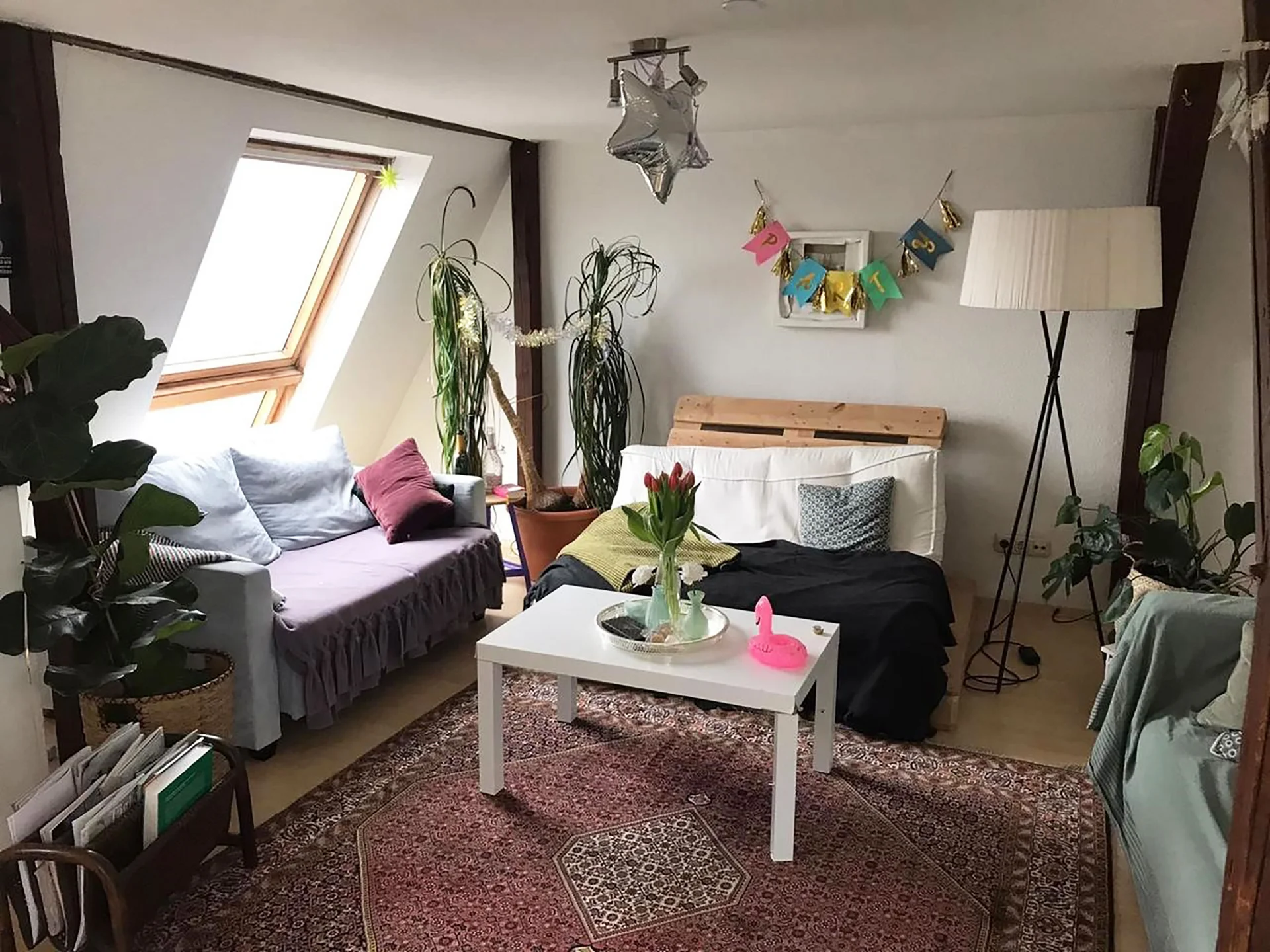 This is how students in Witten live (Photo: private) A view of a shared flat’s living room. There are several small sofas arranged around a small table. In the background are plants and party bunting.