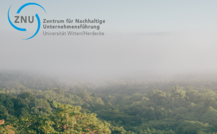 Ein von oben fotografierter, nebelbehangener Wald.