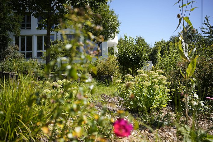 Aufnahme des Gartens im Vorder- und des Universitätsgebäudes im Hintergrund
