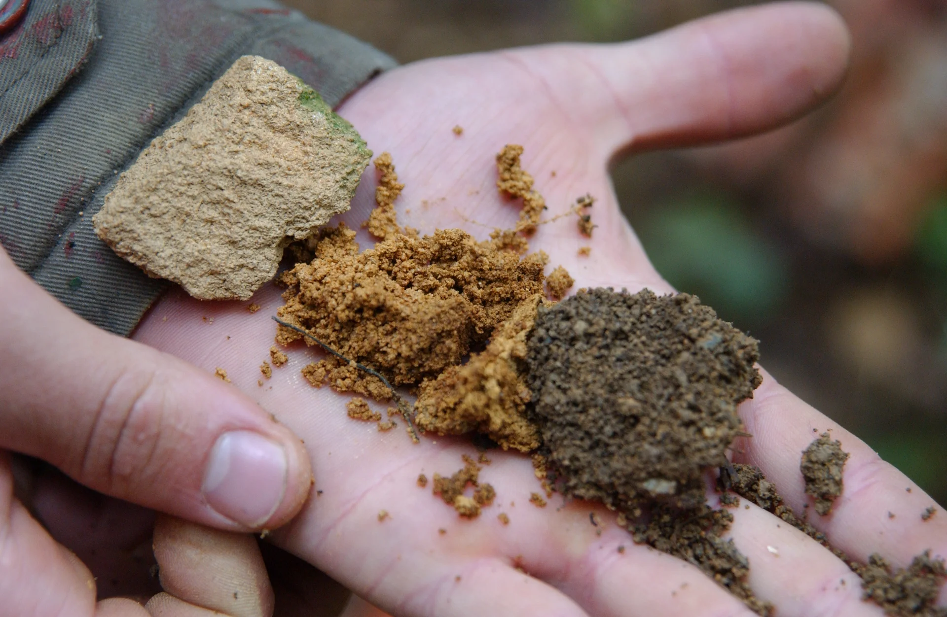 Eine Person hat Erde vom Dottenfelder Hof auf der Handfläche
