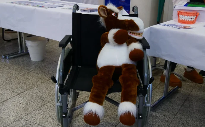 Man sieht ein Stoffpferd auf einem Rollstuhl sitzen.