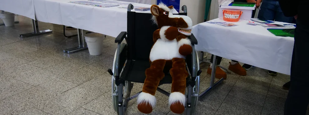 Man sieht ein Stoffpferd auf einem Rollstuhl sitzen.