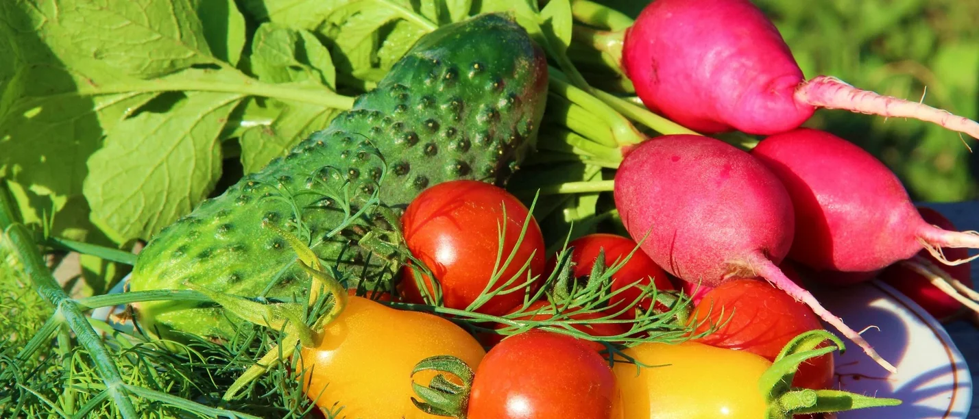 The field trial project at Witten/Herdeck University invites you to a sypsoium on the nutritional turnaround (Photo: Pixabay I elanaiks) The picture shows a plate of colourful vegetables.