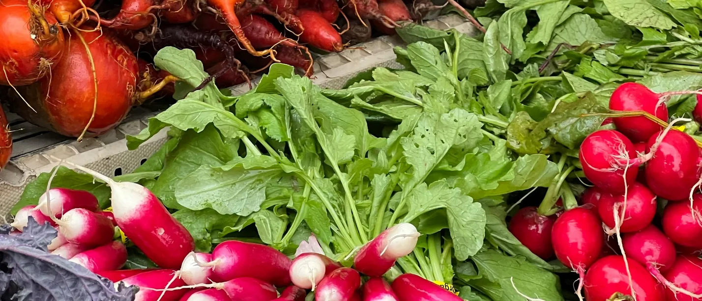 Ein Berg von Rüben und Radieschen