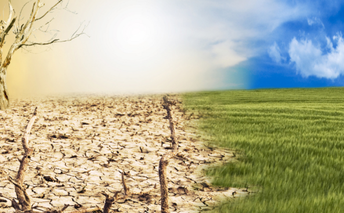 Prof. Dr. Jan-Christoph Heilinger spricht in der Wittener Bürgeruniversität über die Klimakrise. (Foto: Canva) Symbolbild Klimakrise