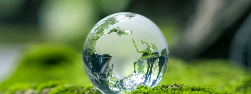 A glass globe stands in a green meadow.