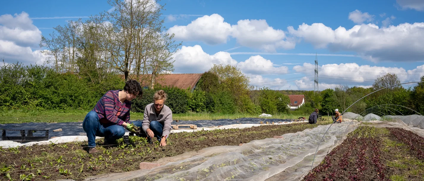 Bewusst essen: wie wir im Alltag unsere Gesundheit stärken (Foto: UW/H | Lucy Mindnich) Symbolbild Feldarbeit