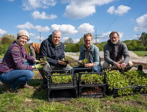 Two men and two women are kneeling in a field in front of crates of harvested lettuce. They are each holding a head of lettuce in their hands.