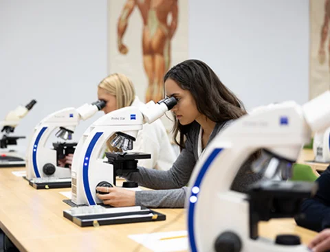 Practical learning at the UW/H, illustrated by a student’s microscopic examination