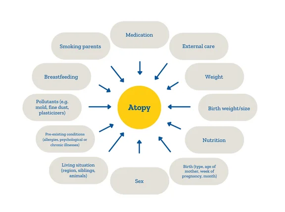 Graphic that shows influences on allergy development 