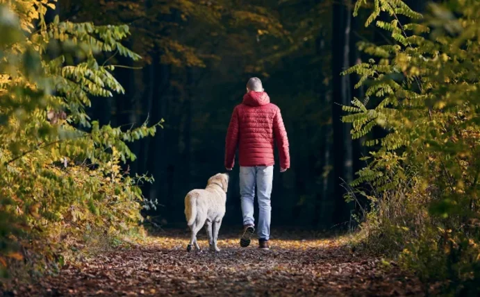 Ein Mann geht mit seinem Hund im Wald spazieren.