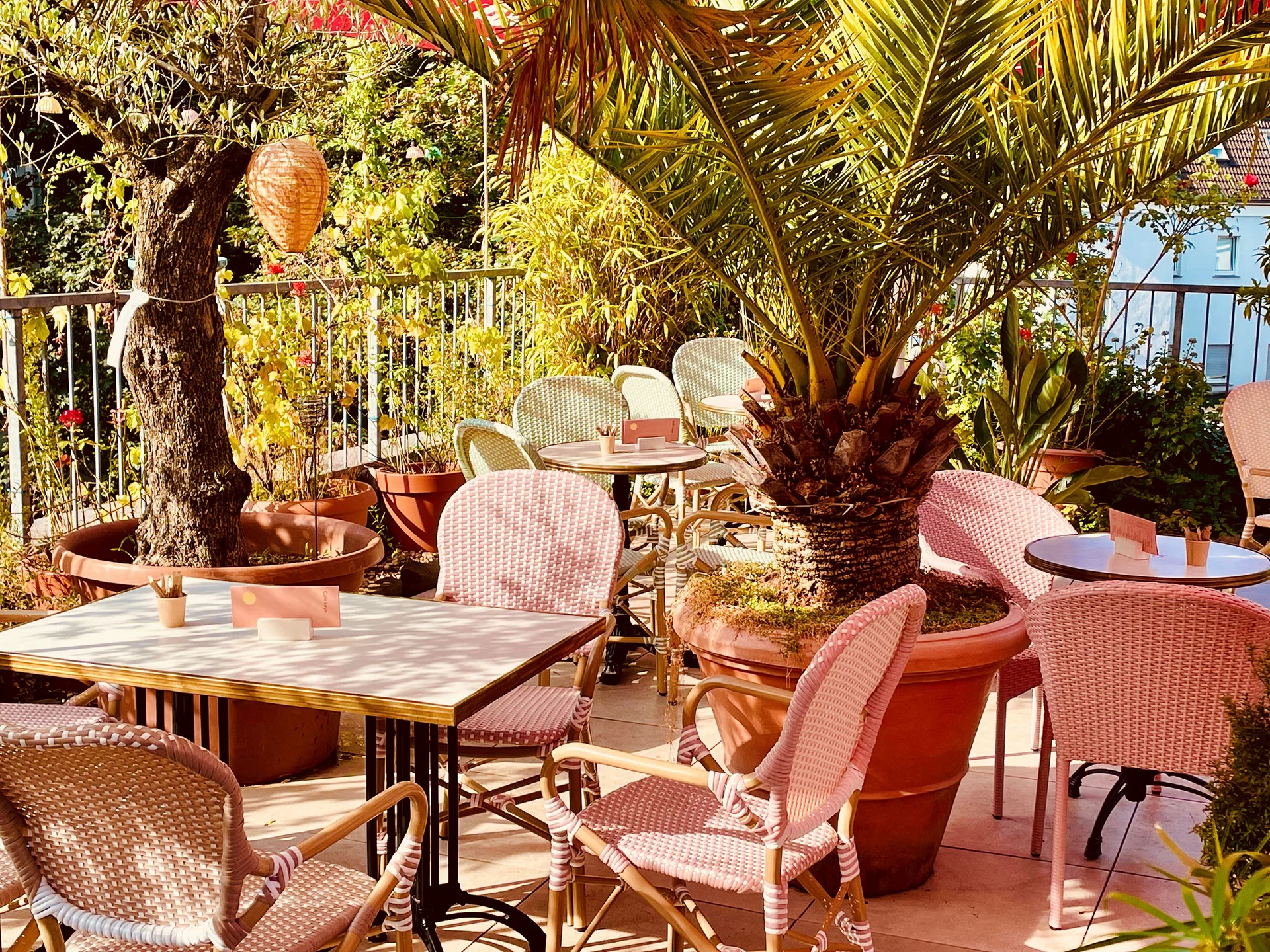 Outdoor terrace at Café Leye (Photo: Café Leye) A photo of a restaurant terrace with plants, featuring groups of tables and chairs.