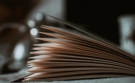 Die Veranstaltung an der UW/H beleuchtet das spannungsreiche Verhältnis von Philosophie und Literatur. (Foto: Pexels | lil artsy) Das Foto zeigt die aufgefächerten Seiten eines Buches im Detail.