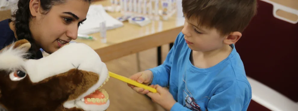 Ein Junge putzt einem Stoffpferd die Zähne.