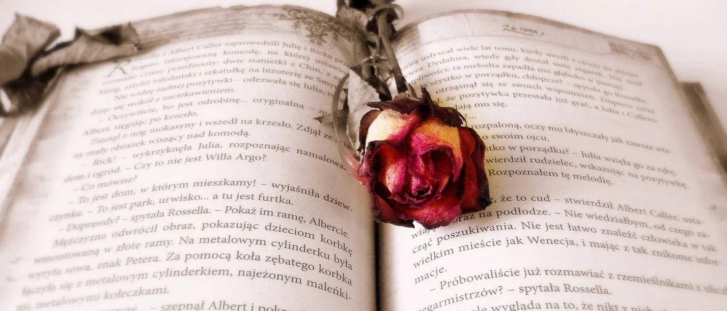 Ein Vortrag anlässlich des 300. Geburtstages von Immanuel Kant. (Foto: pixabay | Daria Glodowska) Eine Rose liegt zwischen den Seiten eines aufgeschlagenen Buches.