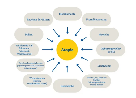 Grafik: Einflüsse auf die Allergieentwicklung