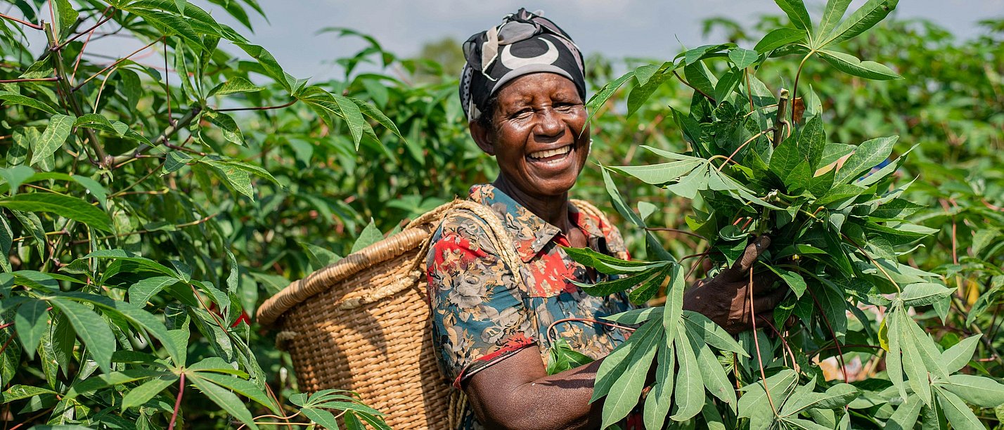 Portrait of a worker between cassava plants (Photo: pexels.com/ Safari Consoler) Photo of a worker between cassava plants