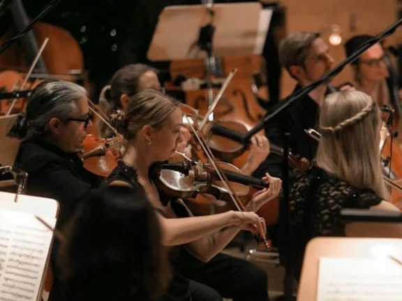 Das Bild zeigt Nicole Steller als Teil eines Orchesters. Sie hält ihre Violine in der Hand. Um sie herum sitzen weitere Musiker:innen.