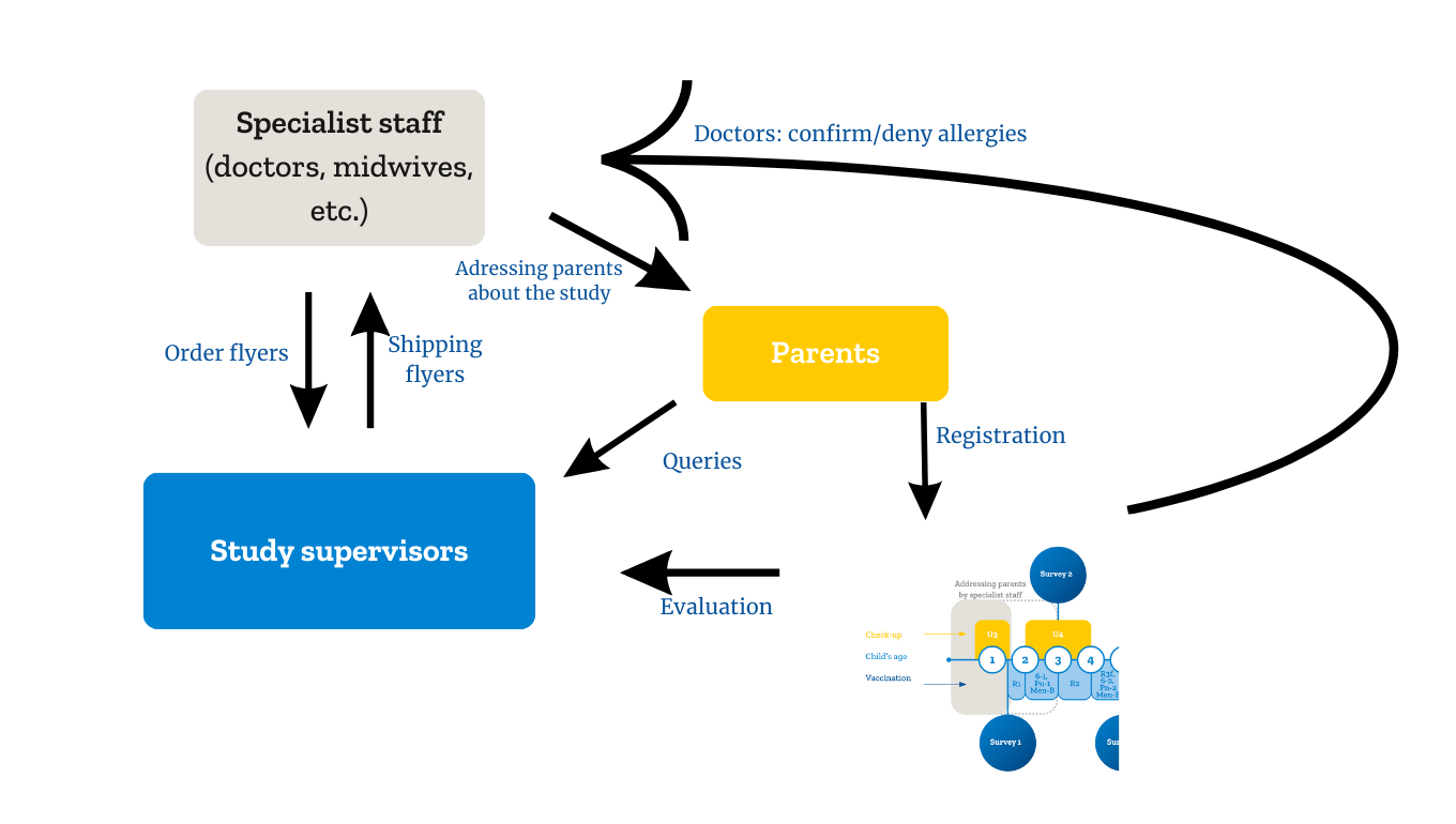 Graphic of the recruitment process of the study