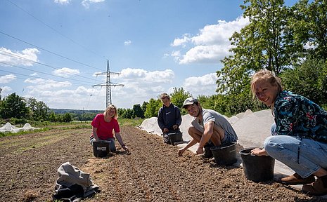 Symbolbild Feldarbeit