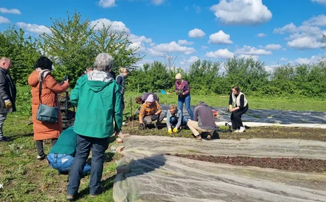 Symbolbild einer Menschengruppe auf dem Acker