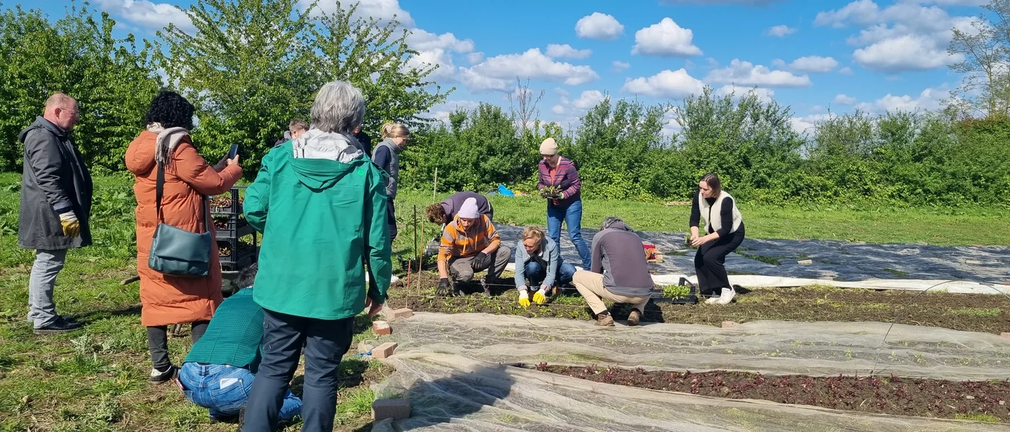Symbolbild einer Menschengruppe auf dem Acker
