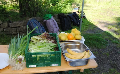 KULTURZEIT Von der Ertragskultur zur Begegnungskultur (Foto: UW/H) Lauchzwiebeln, Salat, Zitronen, Orangen udn Bananen auf einem Holztisch. Im Hintergrund Rasen und Sträucher