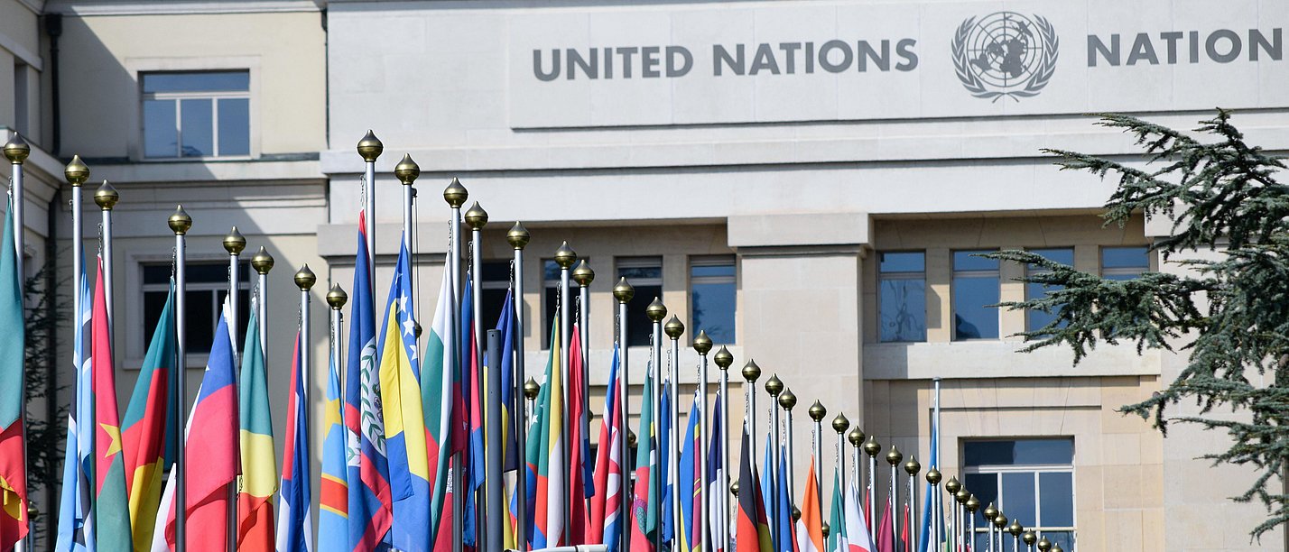 Belém – Reflections on the Challenges of the UNFCCC Negotiation Process (Foto: pixels | xiaboregi) Symbolbild Vereinte Nationen