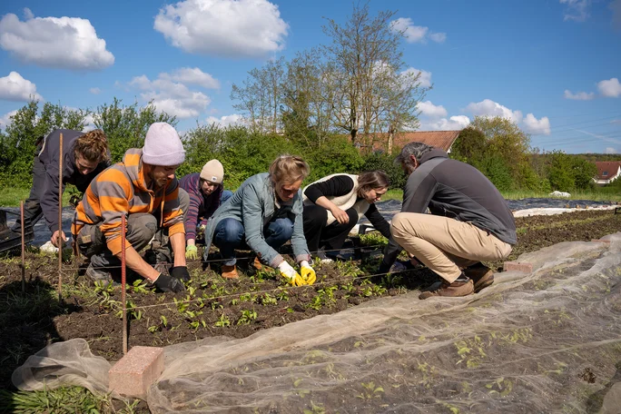 Ackerzeit (Foto: UW/H) Eine Gruppe von Menschen arbeitet auf dem Gemüseacker. Sie knien über einem Beet und pflanzen neue Setzlinge ein.
