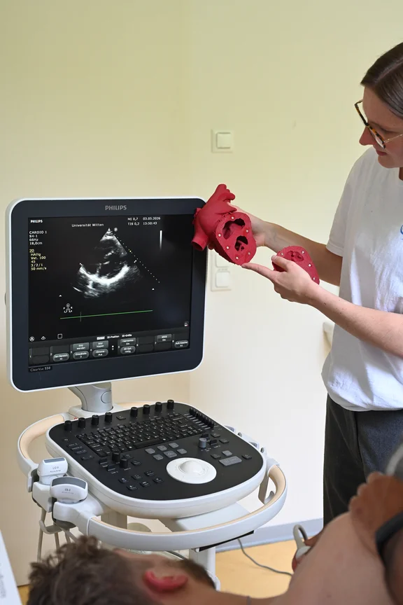 Tutorin mit Herzmodellen am Ultraschallgerät