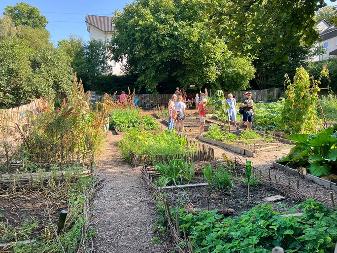 Nawit Vegetable Garden (Photo: Nawit) Vegetable garden