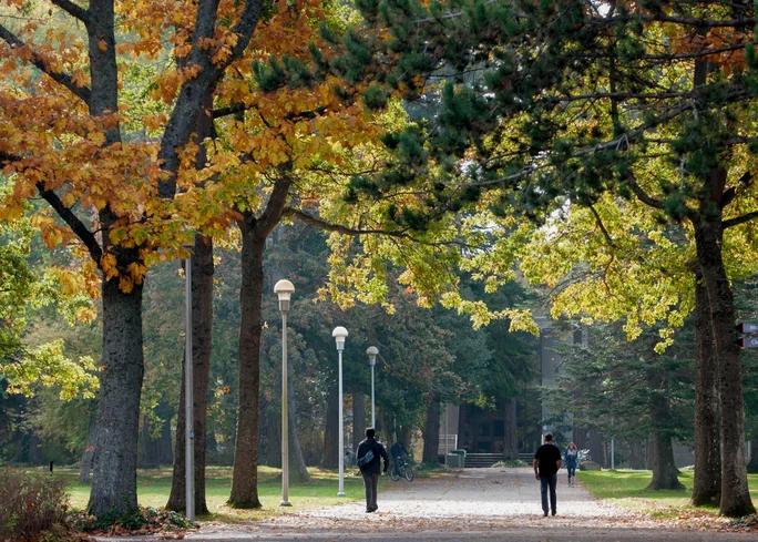 Victoria, Canada Double Degree Programme for Management Students (Photo: University of Victoria) The University of Victoria campus in Canada.