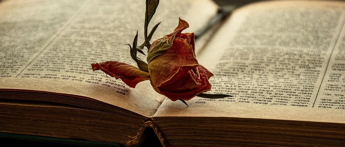 Die Mauern stehen - ein literarisches Porträt des Dichters Friedrich Hölderlin Mai 2025 (Foto: pixaby | Ri Butov) Symbolbild Literatur