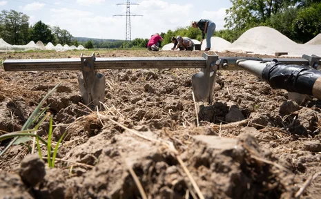 Ernährungskompetenz & Bildungsbedarfe an der UW/H (Foto: UW/H) Eine Gruppe Studierende auf einem Acker