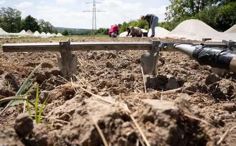 A group of students in a field