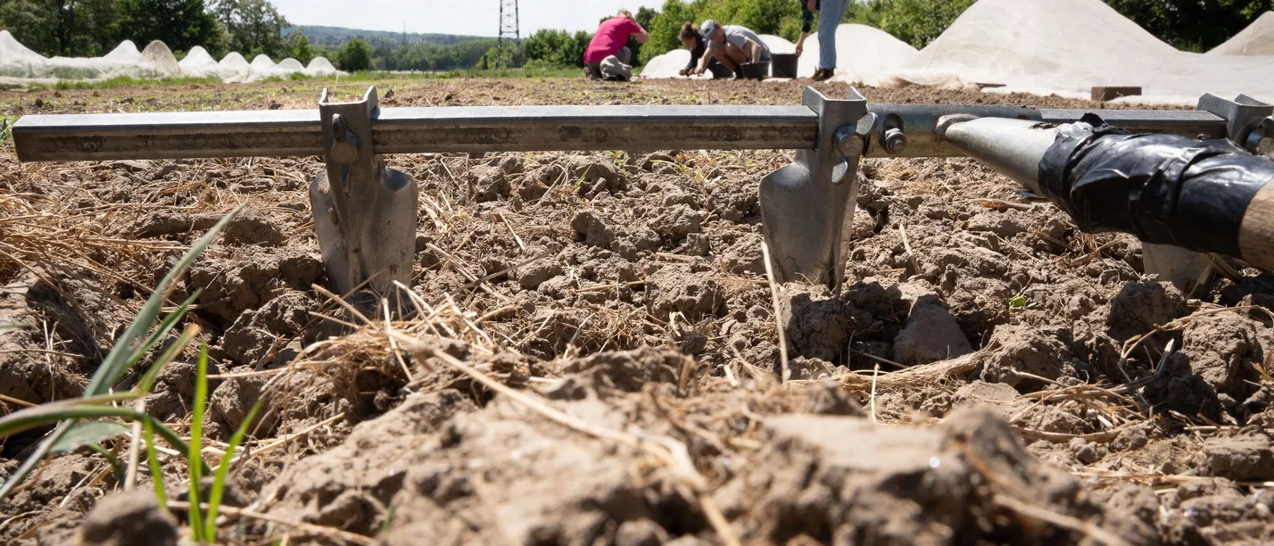 Eine Gruppe Studierende auf einem Acker