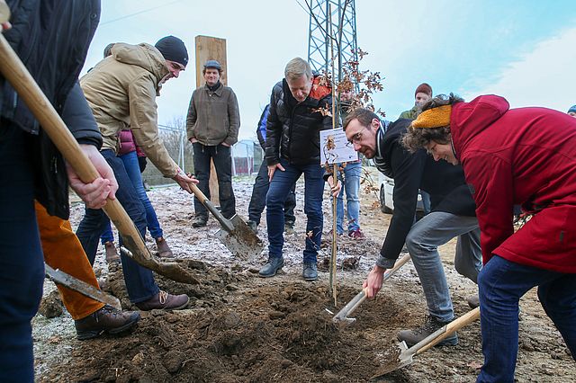 Dirk Jakobs, Lars König, Robin Vieten und Annaliesa Hilger pflanzen einen Baum