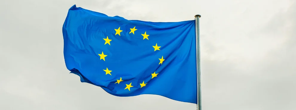 Blue flag with 12 yellow stars in a circle.