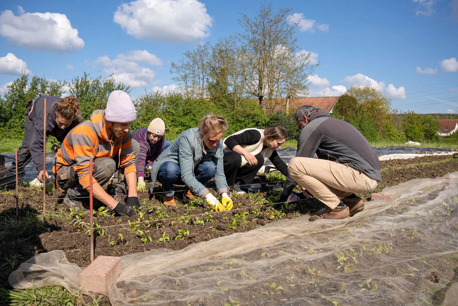 Working together to promote sustainable and healthy eating – that is the aim of the ‘Feldversuch’ project at UW/H. (Photo: UW/H | Lucy Mindnich) A group of six people are kneeling by a vegetable patch, planting the seedlings in the ground.