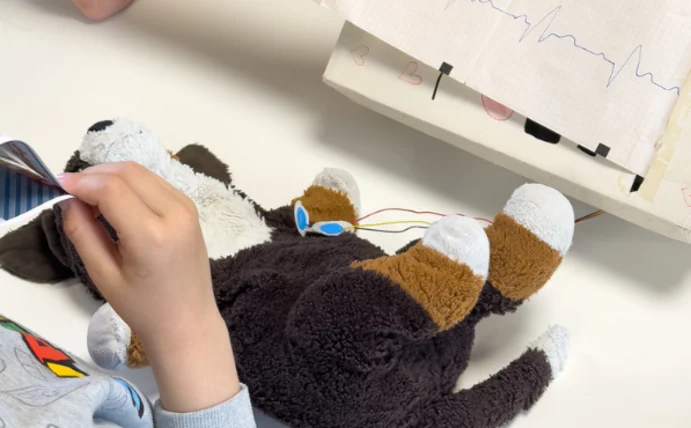 Teddyklinik nimmt Kindern die Angst vor medizinischen Untersuchungen (Foto: UW/H) Man sieht einen Plüschhund am EKG
